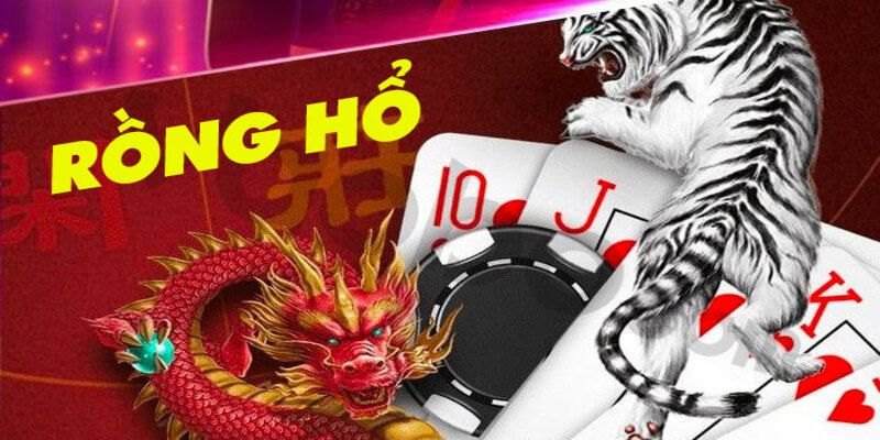 Chơi Rồng Hổ TG88 Có Dễ Không Đối Với Thành Viên Mới