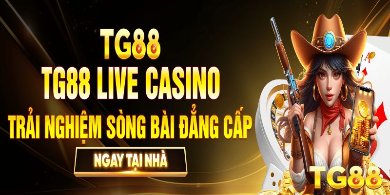 Nhà cái casino TG88 và những thông tin quan trọng